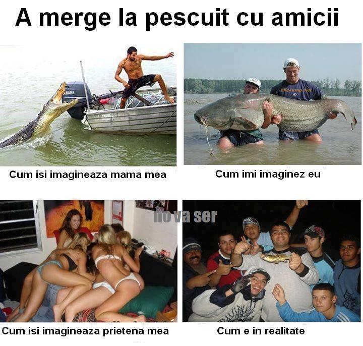 carpbook - 5824706222459078156771088361553n.jpg